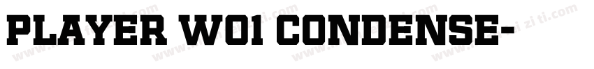 Player W01 Condense字体转换